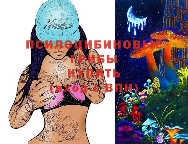 кокс Арсеньев