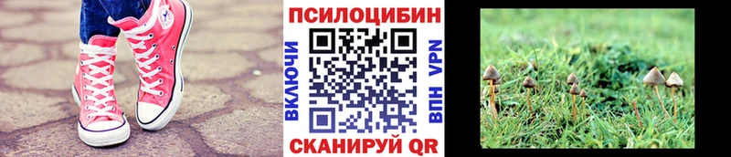 Галлюциногенные грибы мицелий  гидра ONION  Баймак  продажа наркотиков 